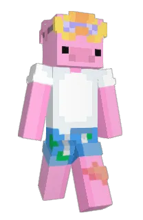 Front of WindowMac's skin
