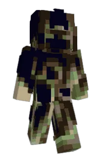 Front of coll37's skin