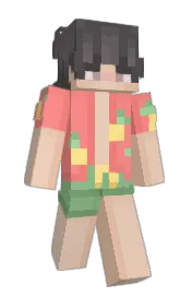 Skin preview