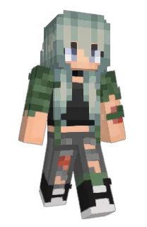 Front of Zynkode's skin