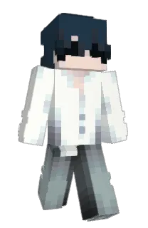 Front of sapranic's skin