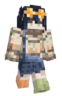 Front of DropFish233's skin