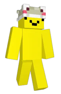Front of Minecraft skin