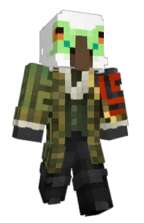 Front of myrmicry's skin