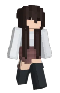 Front of pkikichu's skin