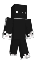 cod gray and white Minecraft skin — Classic model
