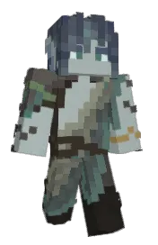 Skin preview