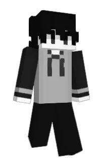 Front of N6V's skin