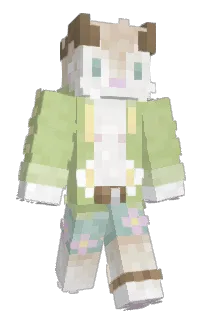 Front of cryptidio's skin