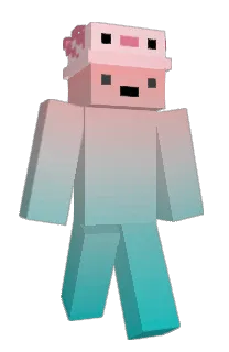 Front of Minecraft skin