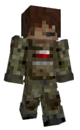 Custom render preview