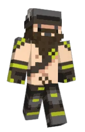 Skin preview