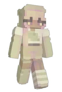 debnizzle Minecraft avatar full body