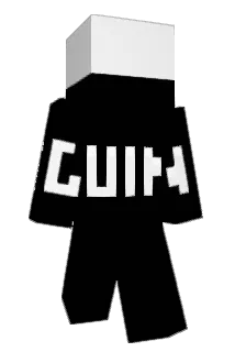 dec8300 Minecraft avatar full body