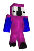 Arxctics