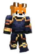 Dr_Fox147