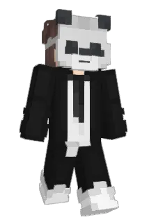 decipherer Minecraft avatar full body