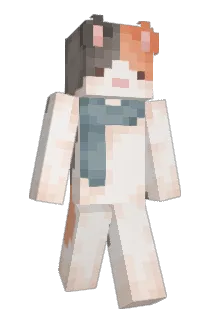 deck1210 Minecraft avatar full body
