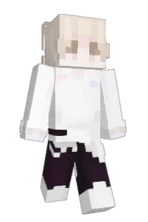 decreed Minecraft avatar full body