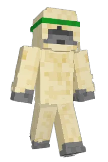 decrya Minecraft avatar full body