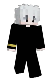 Front of Xellsy's skin