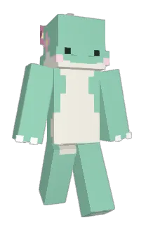 Front of elephant_1's skin