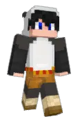 netinho