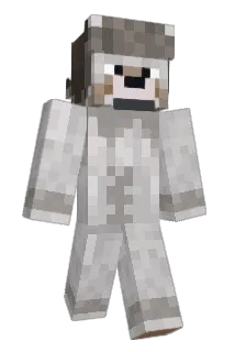 dededo Minecraft avatar full body