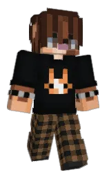 saddle and woodsmoke Minecraft skin — Classic model