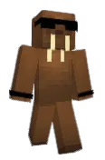 stonebrickss