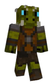 Skin preview