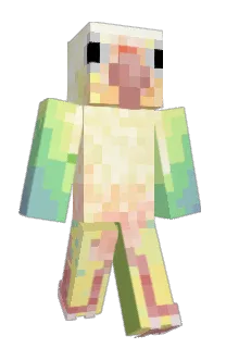 Front of UnknownIngot's skin