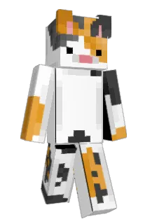 deesnoot Minecraft avatar full body