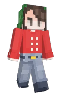 Front of Minecraft skin