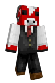 defran02 Minecraft avatar full body
