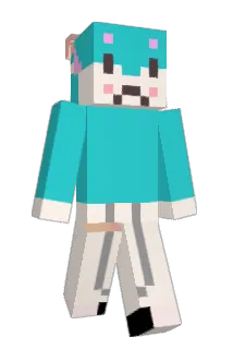 degu1106 Minecraft avatar full body