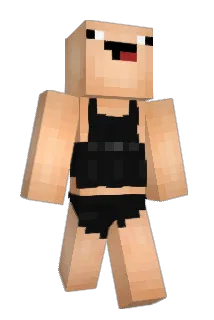 dehq Minecraft avatar full body