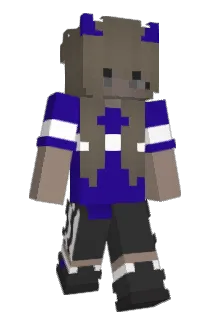 deinewelt Minecraft avatar full body
