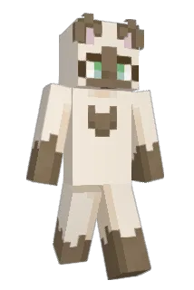 dejcarator Minecraft avatar full body