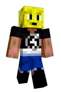 den1987 Minecraft avatar full body
