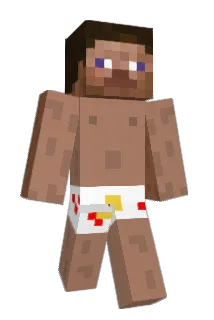 dendafool Minecraft avatar full body