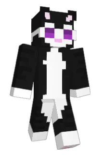 denigrating Minecraft avatar full body
