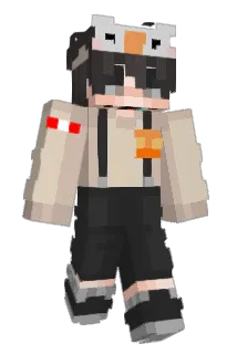 derzocker70 Minecraft avatar full body