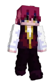 designershades Minecraft avatar full body