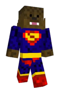 destintrent19 Minecraft avatar full body