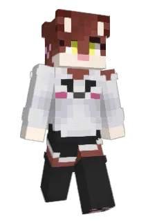 destrowo Minecraft avatar full body