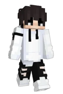 dextrax842 Minecraft avatar full body