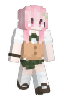 Front of Minecraft skin
