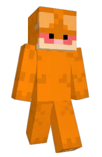 Front of Minecraft skin