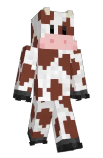 Front of iElphi's skin